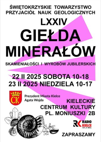 Grafika. Plakat giełdy minerałów i skamieniałości. 22 lutego (sobota), godz. 10-18, 23lutego (niedziela) godz. 10-17. Kieleckie Centrum Kultury.